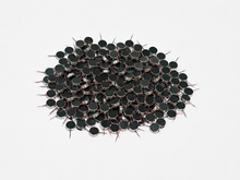 Load image into Gallery viewer, bristle bot vibration pancake motor pre-stripped wire
